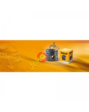 Navara 2005-2010 Piston Segman